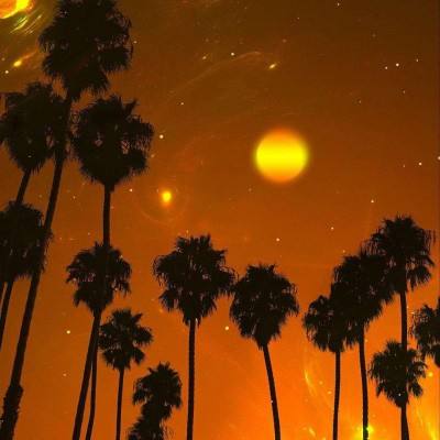 NG体育APP官方下载网址