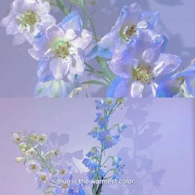 ayx爱游戏全站下载手机版