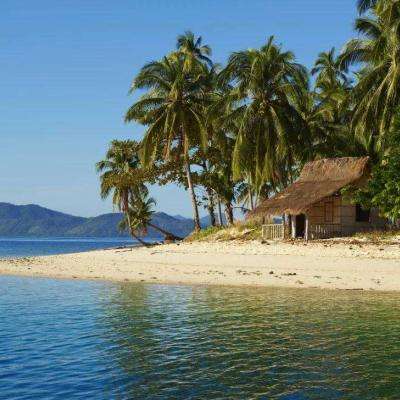 NG体育APP官方下载网址