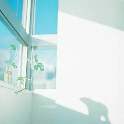 三张牌下载金花免费手机app下载